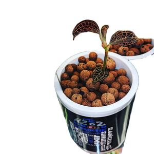 8-11mm / 11-14mm Jardin Sol Expansé Poreux Argile Leca - Product Image 6