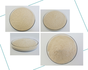 ผู้ผลิตซัพพลายเอนไซม์ Amyloglucosidase - Product Image 6
