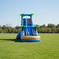 WINSUN USA Entrepôt aux États-Unis Expédition immédiate Toboggan aquatique gonflable commercial en PVC bleu tropical personnalisé pour aire de jeux intérieure/extérieure