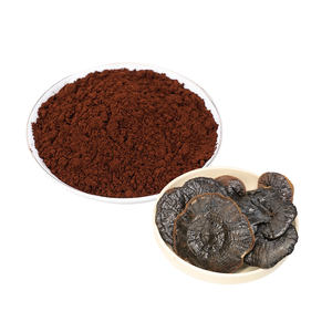 Doğal bitkisel özü orijinal Lingzhi spore tozu vahşi kurutulmuş Ganoderma Lucidum spore özü reishi spore özü tozu - Product Image 3