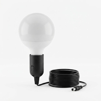Ampoule LED 12V pour usage extérieur avec câble de 2,8 m ou 5 m, prise DC5521, interrupteur marche/arrêt, crochet métallique, CRI 80, 3000K/6500K, forme globe