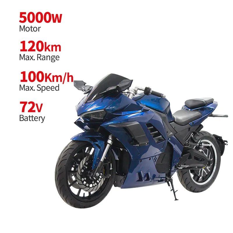 Moto électrique CEE personnalisée pour adultes Moto E Motos de course à grande vitesse 3000W 5000W 8000W 150 km/h