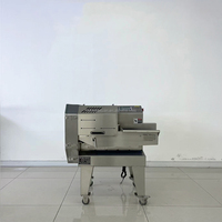 Multifunctionele automatische groente- en fruitsnijder/slicer van SUS304 roestvrij staal, capaciteit 2000 kg/uur voor de verwerking van groenten en fruit