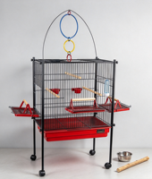 Cage à perroquets robuste sur roulettes, avec supports latéraux extensibles, jouet interactif suspendu, perchoirs en bois, coupelles à nourriture et bouteille d'eau