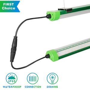 ไฟปลูกพืชแบบ LED กันน้ำ IP65 ใต้หลังคา 125W พร้อมชิป LM301H Osraman สีแดง หลอดไฟแบบท่อขนาด 4 ฟุต สำหรับระบบการปลูกพืชแนวตั้ง - Product Image 3