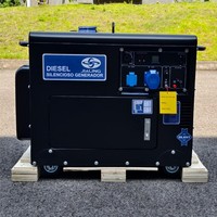 Intelligenter Dieselgenerator 10kW 10kVA 8kVA 8kW 5kW 5kVA 7kVA 7kW Geräuscharm 110V 220V 380V Einphasig Dreiphasig 50Hz 60Hz