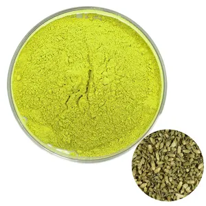 High Quality Sophora Japonica Extract 95% Quercetin Powder Sophora Japonica Extract Powder