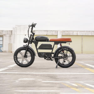 Vélo électrique QMWHEEL Fat Bike EB30, stock UE, pneus larges de 20 pouces, 250W, vélo de montagne électrique, double batterie, vélo électrique E-bike V8 V20 - Product Image 4