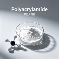 Polvo de Poliacrilamida Soluble en Agua para Clarificación de Aguas Residuales, Sedimentación y Proceso de Floculación