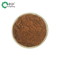 Venta caliente Super Yerba probiótico instantáneo Yerba Mate en polvo Paraguay Health Tea para enfoque y soporte intestinal