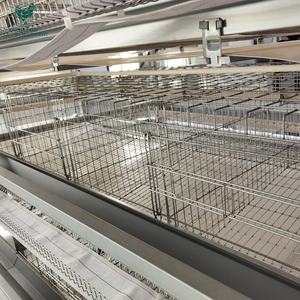 Zware Commerciële Kippenuitrusting Eierproductie Met Hoge Capaciteit Automatisch H-Type Laagkooisysteem Voor Pluimveebedrijven In Brazilië - Product Image 4