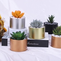 Tersedia pemegang tanaman hitam emas perak dekorasi taman kaktus sukulen bunga rumput Bonsai Pot tanaman Pot dengan tutup