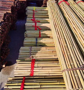 Varas <span class=keywords><strong>de</strong></span> <span class=keywords><strong>Bambú</strong></span> <span class=keywords><strong>de</strong></span> Alta Calidad para Artesanía e Instalación, Varillas Largas y Duraderas para Decoración o Marcos <span class=keywords><strong>de</strong></span> Soporte - Product Image 6