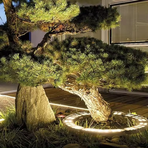 <span class=keywords><strong>Lampe</strong></span> solaire <span class=keywords><strong>de</strong></span> <span class=keywords><strong>jardin</strong></span> extérieure imperméable Cypress avec batterie 1000mAh IP65, source <span class=keywords><strong>de</strong></span> lumière LED, décoration d'arbre <span class=keywords><strong>de</strong></span> Noël, lampes solaires - Product Image 4