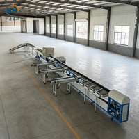 Op maat gemaakte sorteermachine voor na de oogst, stabiele sorteerprestaties voor fruit- en groenteverwerkingsprojecten in de commerciële sector
