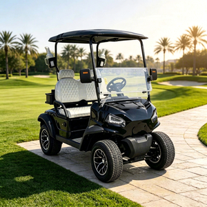 Carrito de golf eléctrico todoterreno de 2 plazas, homologado para circular por la calle, con batería de litio, personalizado para resort, hotel o campo de golf. - Product Image 1
