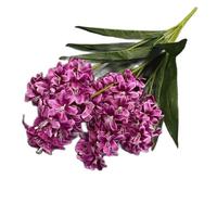 Hyacinth buatan (7 garpu/tandan) Faux Spring Hyacinthus Orientalis daun hijau untuk pernikahan rumah dekoratif bunga buatan