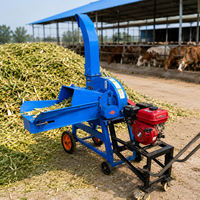 Petite machine à couper l'herbe pour ferme, à essence, hacheuse d'aliments pour le bétail