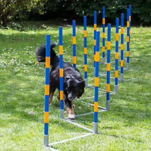 Profesional de alta calidad de 12 polos plegado mascota perro agilidad entrenamiento Slalom equipo tejido polos - Product Image 1