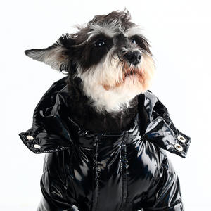 Pet köpek aşağı ceket marka köpek kış ceket lüks giyim Opp torba klasik yeni karikatür tasarımcı yüksek kalite sonbahar kış bebek - Product Image 6