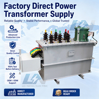 Transformador Trifásico Sumergido en Aceite S13-M de Baja Pérdida, 1000kVA, Cobre Puro, 10KV 400V Dyn11, Programas de Electrificación Rural, 50/60Hz