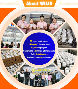 Tazze da caffè a sublimazione in ceramica WUJOSUB tazza a sublimazione bianca AAA da 11 once - Product Image 5