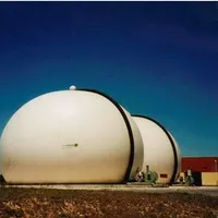 혐기성 소화기를 위한 PTFE 막 구조 Biogas 덮개
