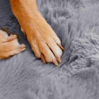 Housse de siège de voiture pour chien moelleuse, imperméable, antidérapante, en tissu Oxford, pour chats, protection de banquette arrière pour voitures, SUV, camions