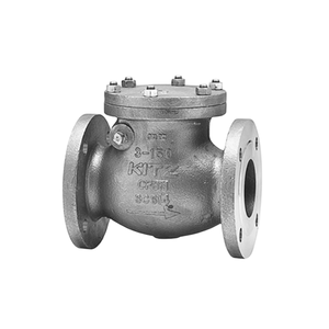 Válvula de Retención de Acero Inoxidable Japonesa con Extremos Flangeados Clase 150 - Product Image 1