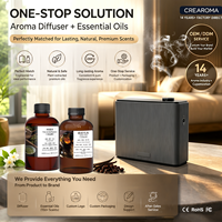 Diffuseur de parfum commercial pour climatiseur, machine à arôme à air froid sans eau, système de diffusion de parfum pour grandes surfaces, pour huiles essentielles