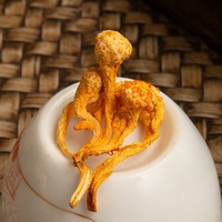 Vente en gros de Cordyceps Militaris pure sporehead jaune doré épices séchées herbe crue en bâton entier