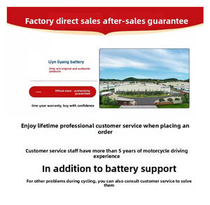 Batterie Liyang Saike Long Zongshen Yomi/<span class=keywords><strong>Yemi</strong></span> <span class=keywords><strong>Yemi</strong></span> 125/Yami Yami (Zx110-13C) - Product Image 6