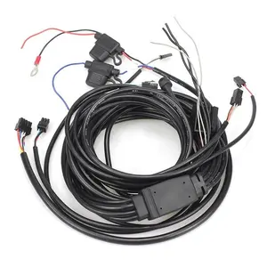 Auto Wire Harness Automotive Car Wiring Harness cable assy Automobile engine harness assembly