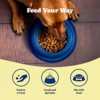 Complément alimentaire OEM Collagène en gommes pour chiens et chats : soutien articulaire, cartilage, immunité, peau et pelage – Superaliment types I, II, III