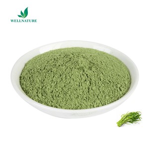 Ipomoea Aquatica Forsk Chiết Xuất Rau Bina Nước Bột Rau Bina Nước - Product Image 2