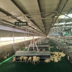 Suelo de Plástico Reforzado de Alta Calidad para Cabras, 60*60 cm, Rejilla para Establos de Cabras y Ovejas - Product Image 4