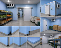 Panneau en mousse de polystyrène extrudé XPS, résistant à l'humidité, haute résistance à la compression, isolation thermique pour mur, chambre froide
