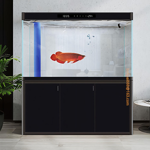 Acquario in Vetro Ultra Trasparente a Basso Contenuto di Ferro con Mobiletto, Lunghezze Personalizzabili <span class=keywords><strong>60</strong></span> - 195 <span class=keywords><strong>CM</strong></span> - Product Image 4