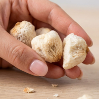 Lichi Liofilizado Saludable FD, Lichi FD al por Mayor, Snacks Liofilizados para Niños