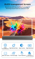 Pantalla OLED Transparente de 30/55 Pulgadas de Alta Resolución, Soporte de Piso para Interiores, Publicidad para Tiendas Minoristas, Centros Comerciales, Exposiciones, OEM