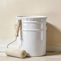 Peinture murale extérieure au latex résistante au soleil, aux intempéries, à la moisissure et à l'humidité pour la rénovation des vieilles maisons