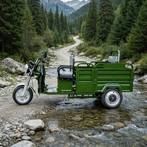Triciclo Eléctrico Homologado por la CEE de 1200W, Batería de 48V 60V 52AH, Motocicleta de Carga con Capacidad de 200kg para Logística y Agricultura, 2 <span class=keywords><strong>en</strong></span> 1 - Product Image 2
