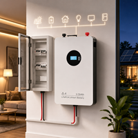 51.2V 100Ah 5.12kWh Baterai Penyimpanan Energi Rumah LiFePO4 Terpasang di Dinding Solar ESS dengan Smart BMS Komunikasi Bluetooth OEM ODM