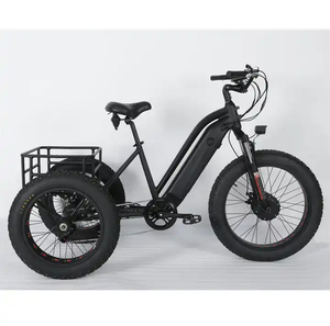 Vélo électrique à trois roues, <span class=keywords><strong>remorque</strong></span> cargaison, prix d'usine, bon marché, livraison avant - Product Image 4