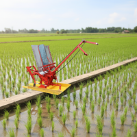 Machine à planter le riz manuelle à deux rangs, transplanteur de riz portatif, fournie directement par l'usine