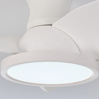Ventilateur de plafond avec lumière LED, 24 pouces, 3 pales, moteur DC silencieux, télécommande, pour petite pièce, chambre, cuisine, salle de bain, appartement