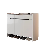 Meuble de rangement et étagère à chaussures escamotable en bois de luxe pour salon et appartement