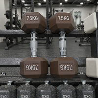 Ensemble d'haltères en fonte recouvertes de caoutchouc hexagonales OEM personnalisées, 5 kg à 50 kg, équipement de fitness, design durable