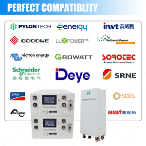 スターマックス工場直販 48V 51.2V 314Ah 300Ah 280Ah 15kWh 16kWh 16S Lifepo4 バッテリーケースボックス DIYラック JKペース200A BMS付き - Product Image 6