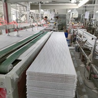 Panneaux muraux et de plafond pour hôtel en PVC texturé givré laminé de 400 mm, motif vague d'eau, ignifuge et imperméable